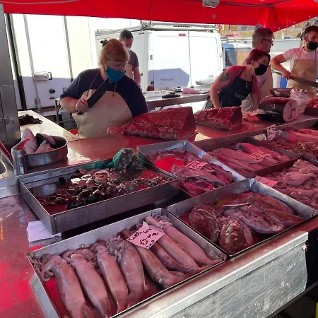 Sunset Modern Near The