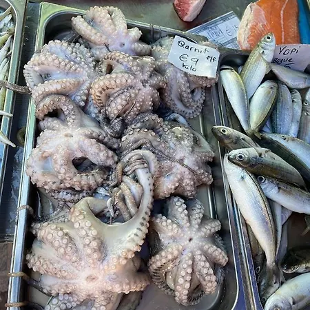 Sunset Modern Near The *