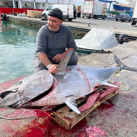 Sunset Modern Near The