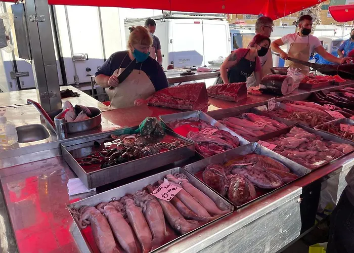 Sunset Modern Near The