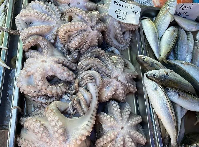 Sunset Modern Near The *